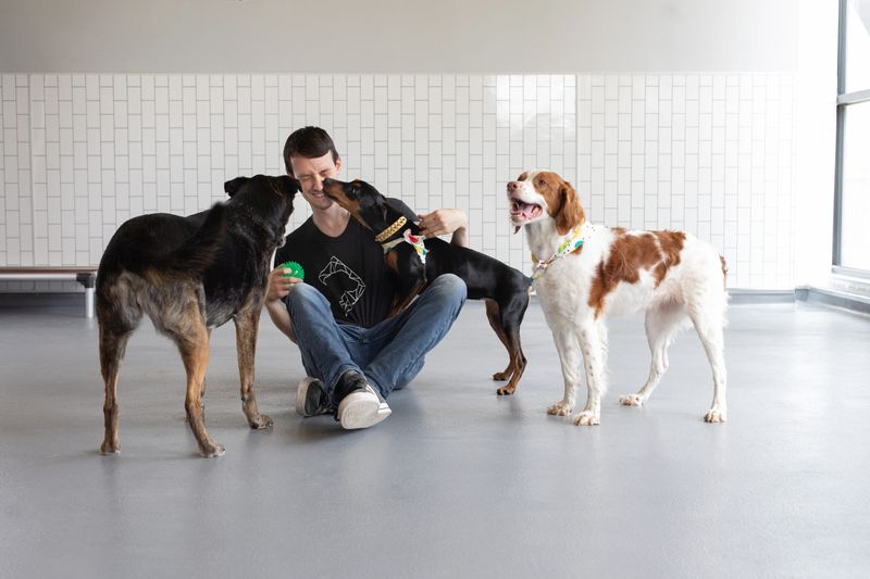 Socialization: Key to a Well-Behaved Dog