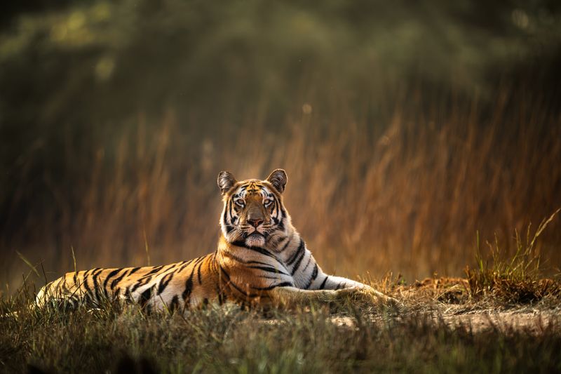 Solitude and Strength