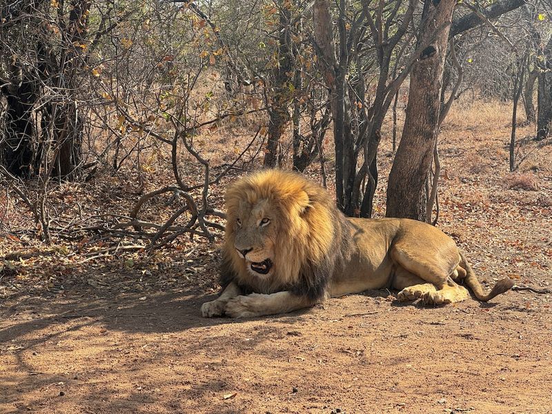 South Africa