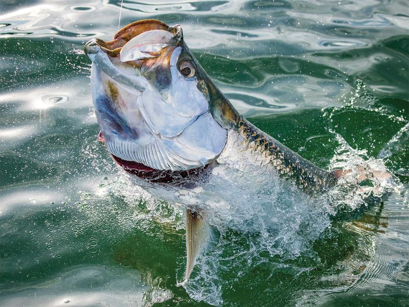 South Padre Island, Texas