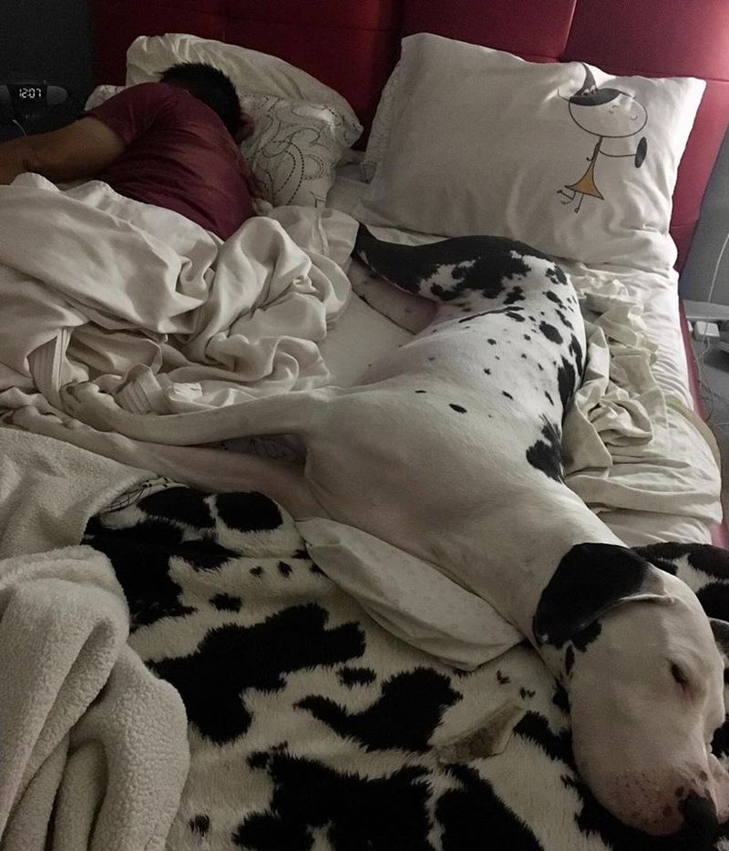 Space and Comfort
