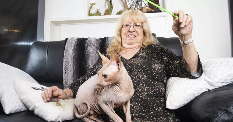 Sphynx