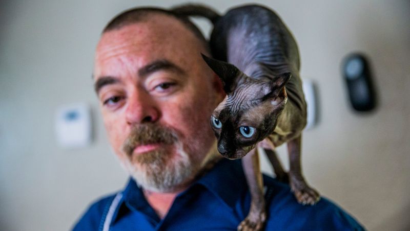 Sphynx