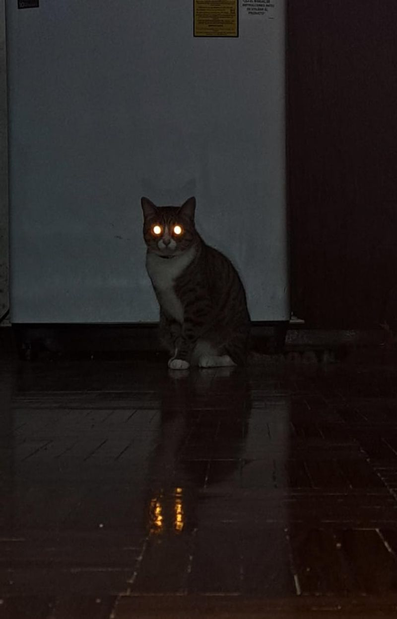 Staring into Darkness