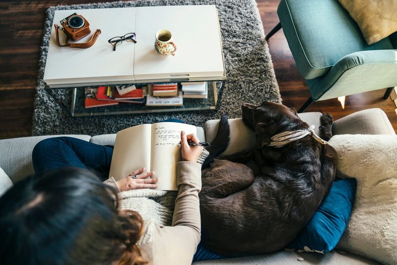 Starting a Journal of Memories