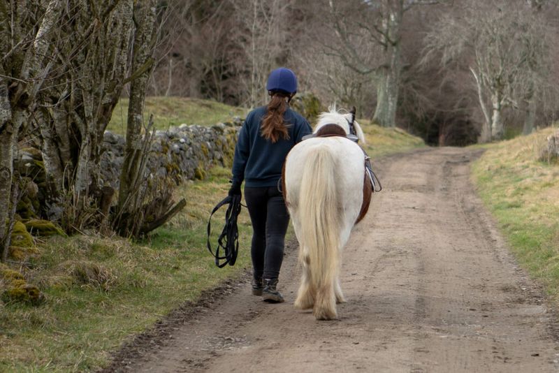 Stay Connected with Your Horse