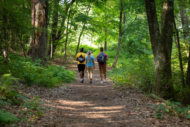 Stay on Designated Trails
