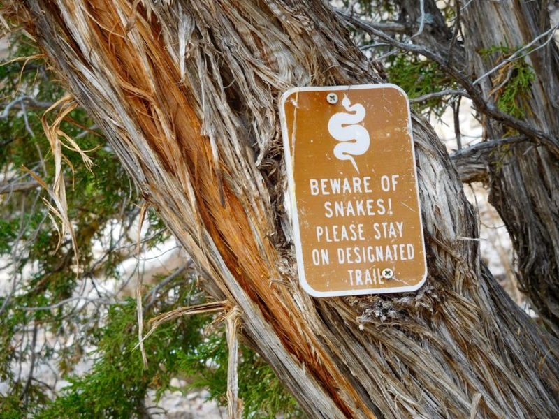 Stay on Designated Trails
