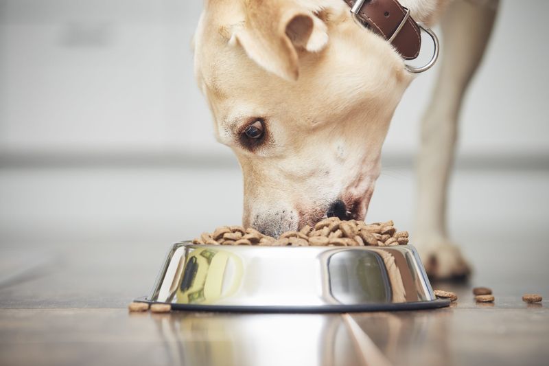 Stop Overfeeding