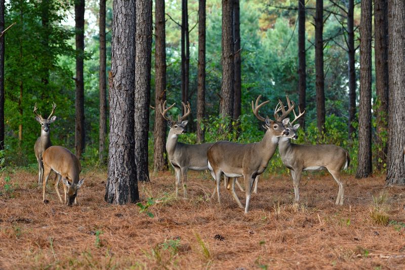 Strategic Grouping