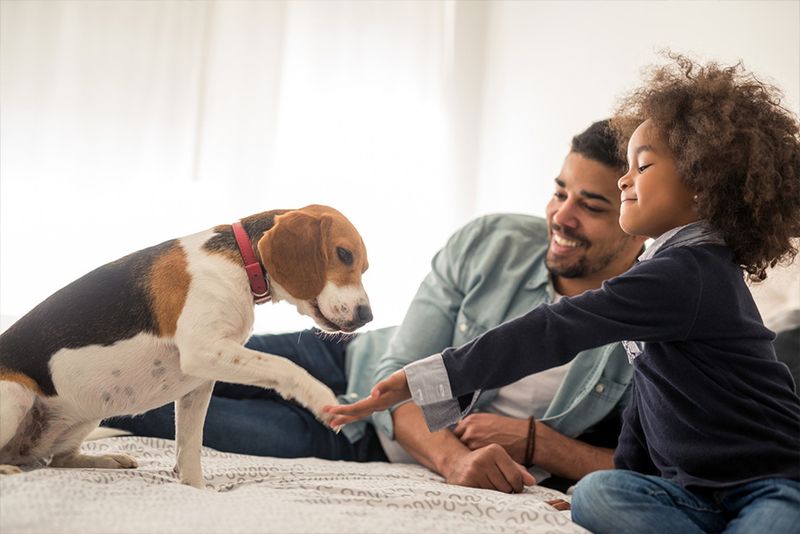 Strengthens Family Bonds