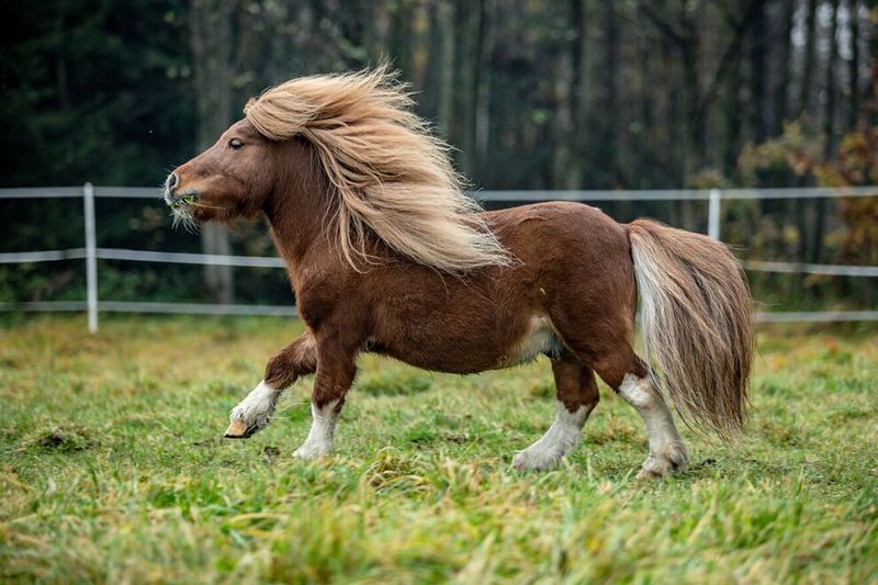 Strong and Hardy