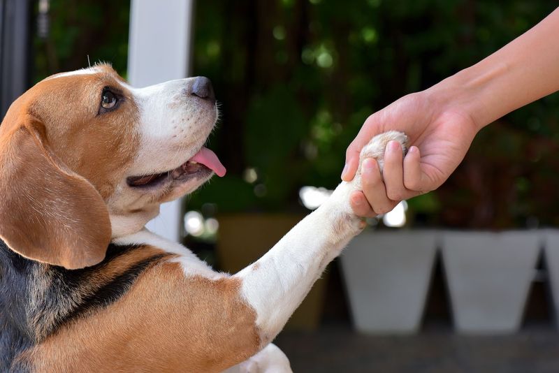 Success: Positive Reinforcement