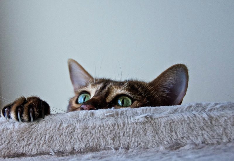 Sudden Bursts of Energy