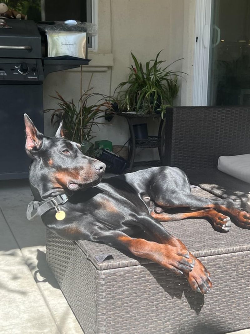 Sunbathing Serenity
