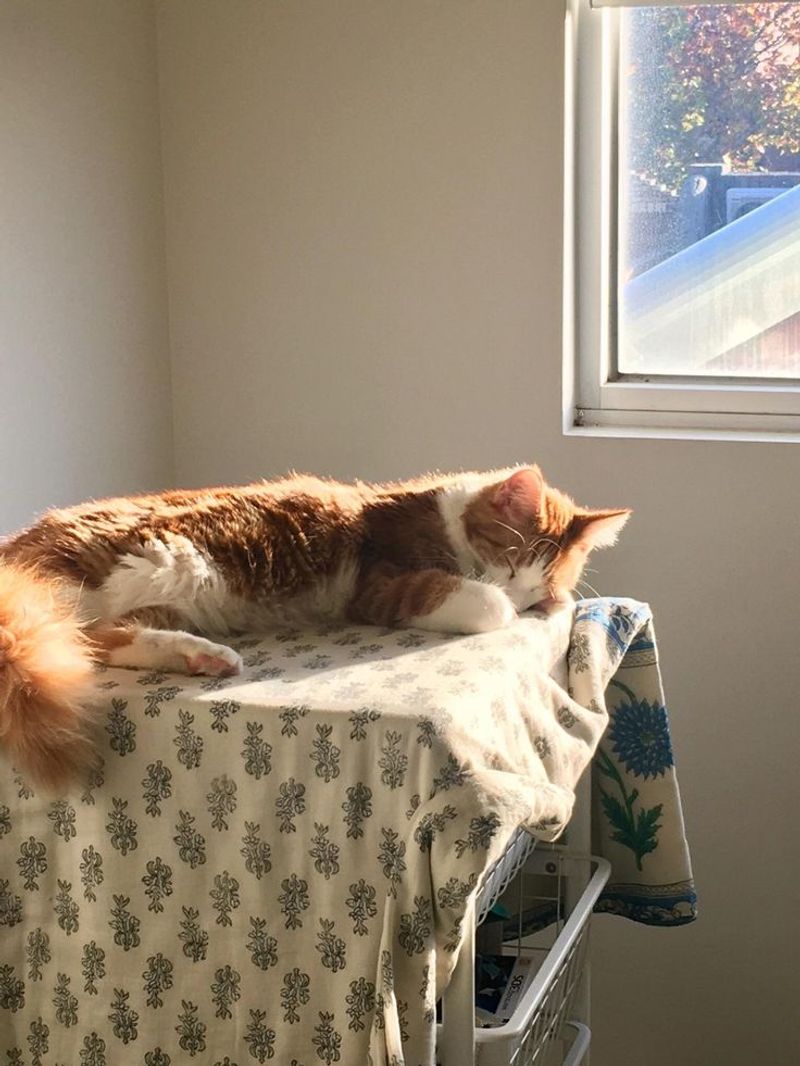Sunbathing Spots