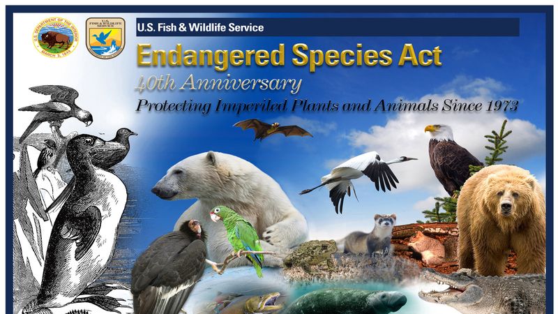 Support Endangered Species Acts
