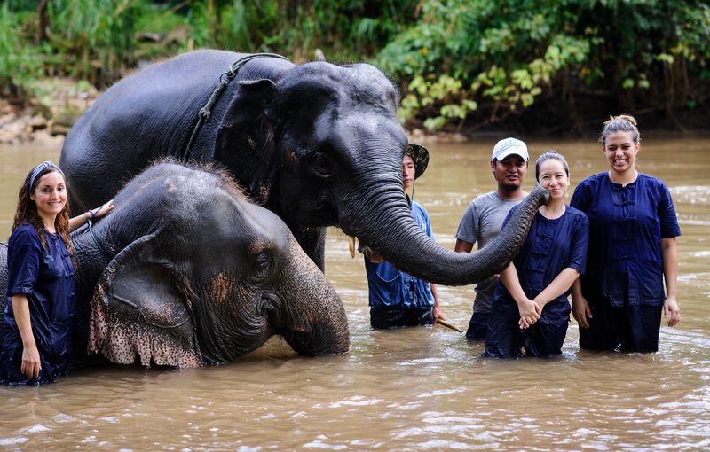 Support Wildlife Conservation Projects