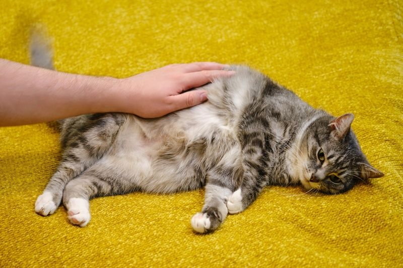Swollen Abdomen