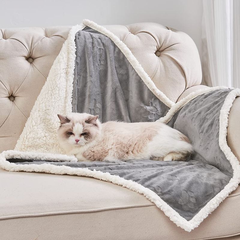 Tactile Comfort with Soft Blankets