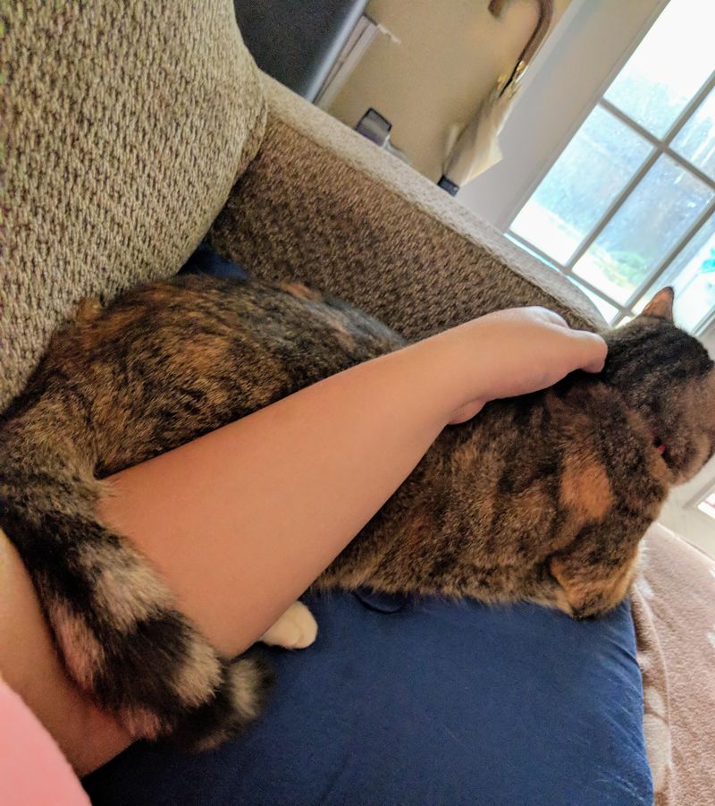 Tail Wrapped Around You
