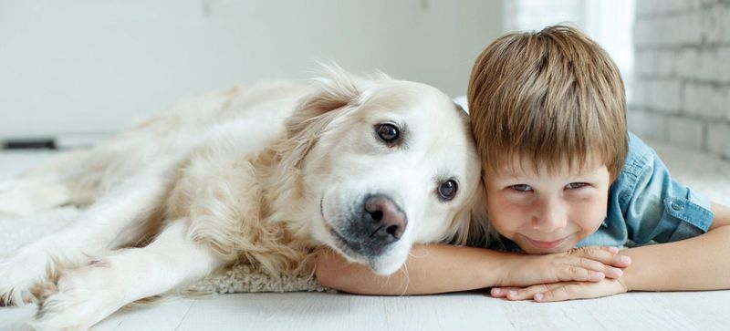 Teaches Compassion