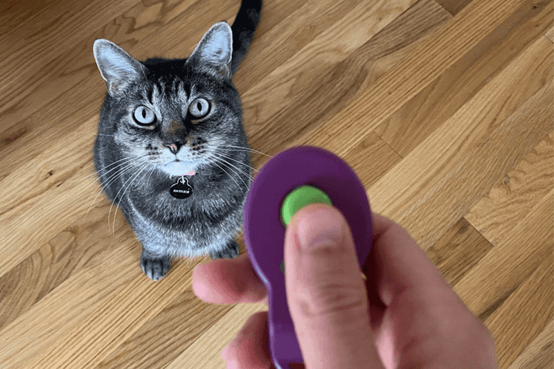 Technique 1: Clicker Training