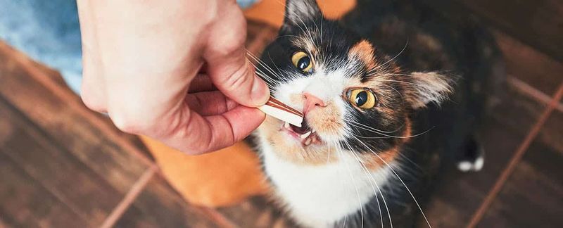 Technique 4: Positive Reinforcement