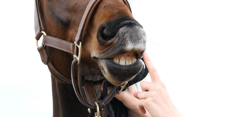 Teeth Grinding