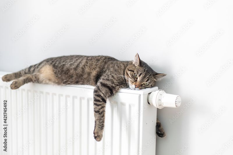 Temperature Control for Comfort