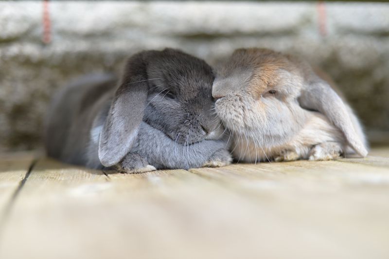 Tender Care