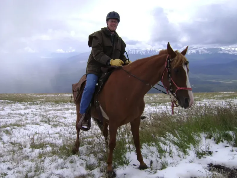 Tennessee Walking Horse