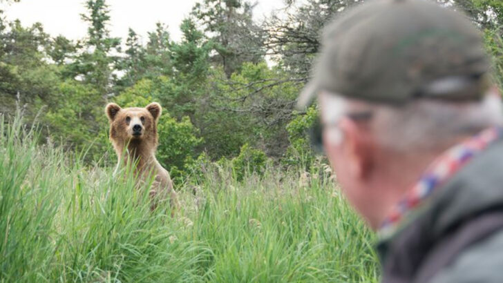 The 16 U.S. National Parks Where Fatal Animal Encounters Happen Most