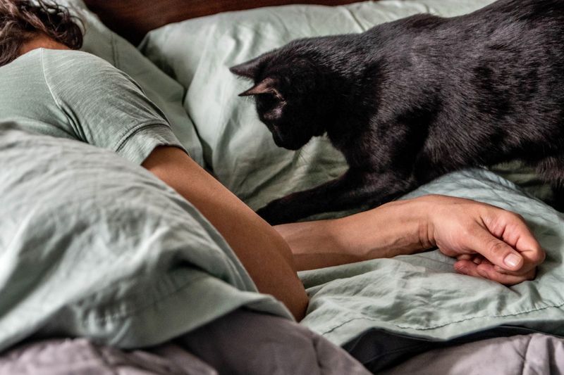 The Alarm Clock