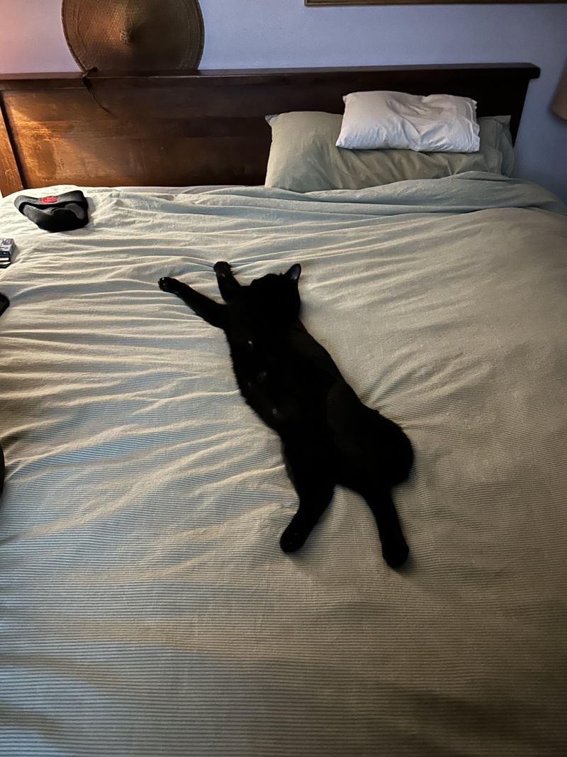 The Bed Hog