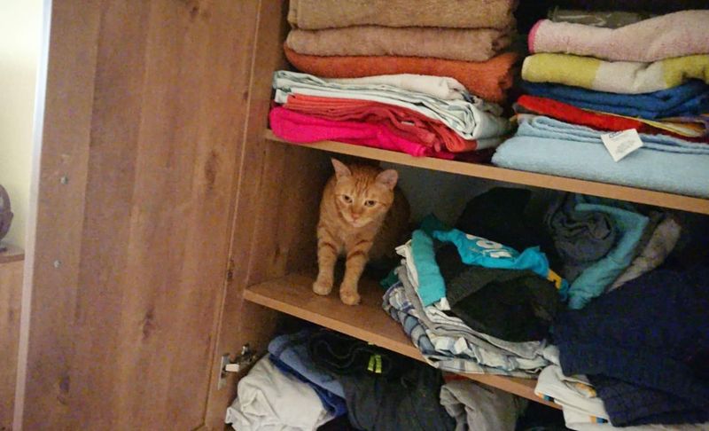 The Closet Explorer