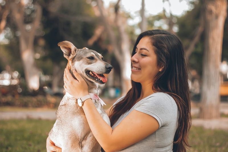 The Dog Lover