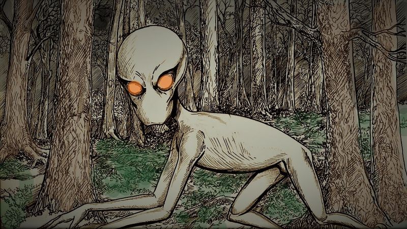 The Dover Demon