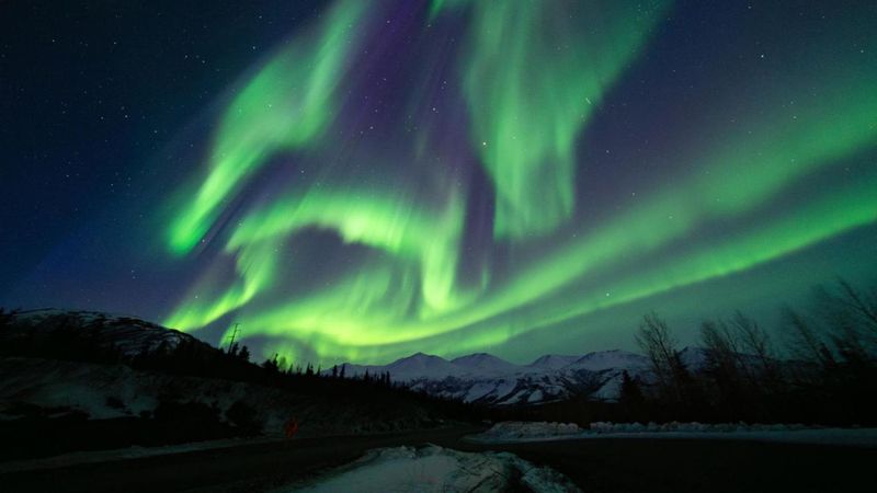 The Enchanting Northern Lights