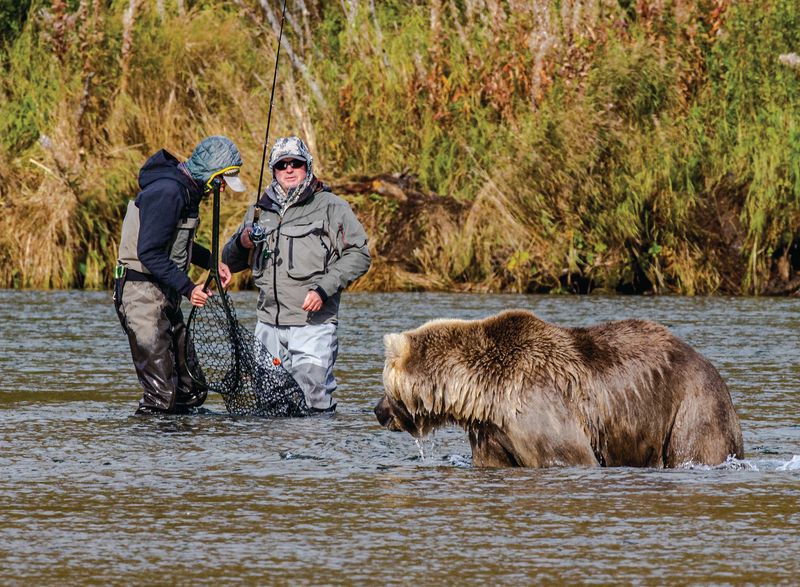 The Fishing Companion in Yellowstone