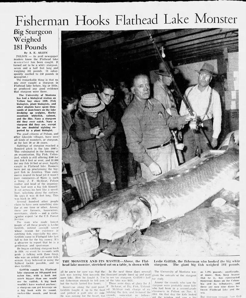 The Flathead Lake Monster