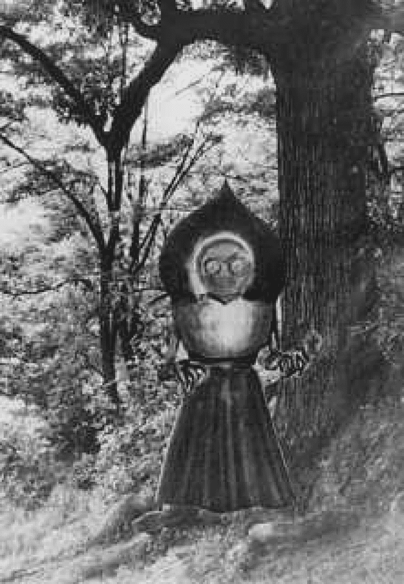 The Flatwoods Monster