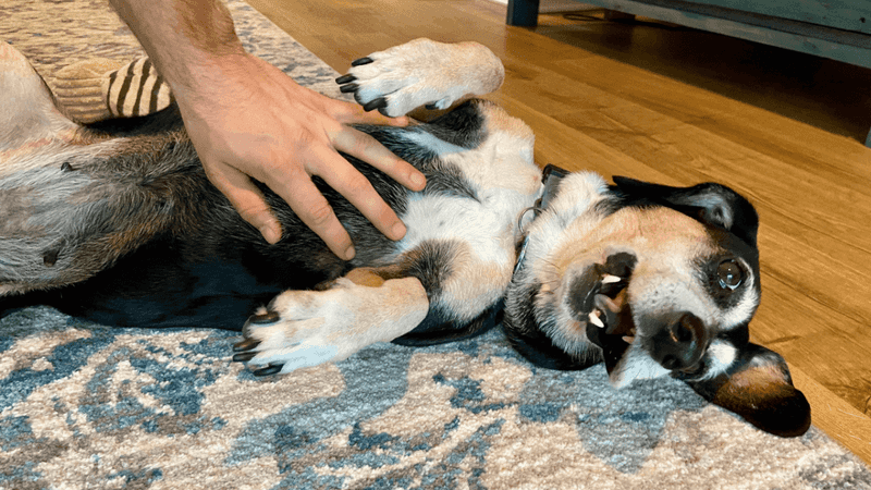 The Flop and Drop