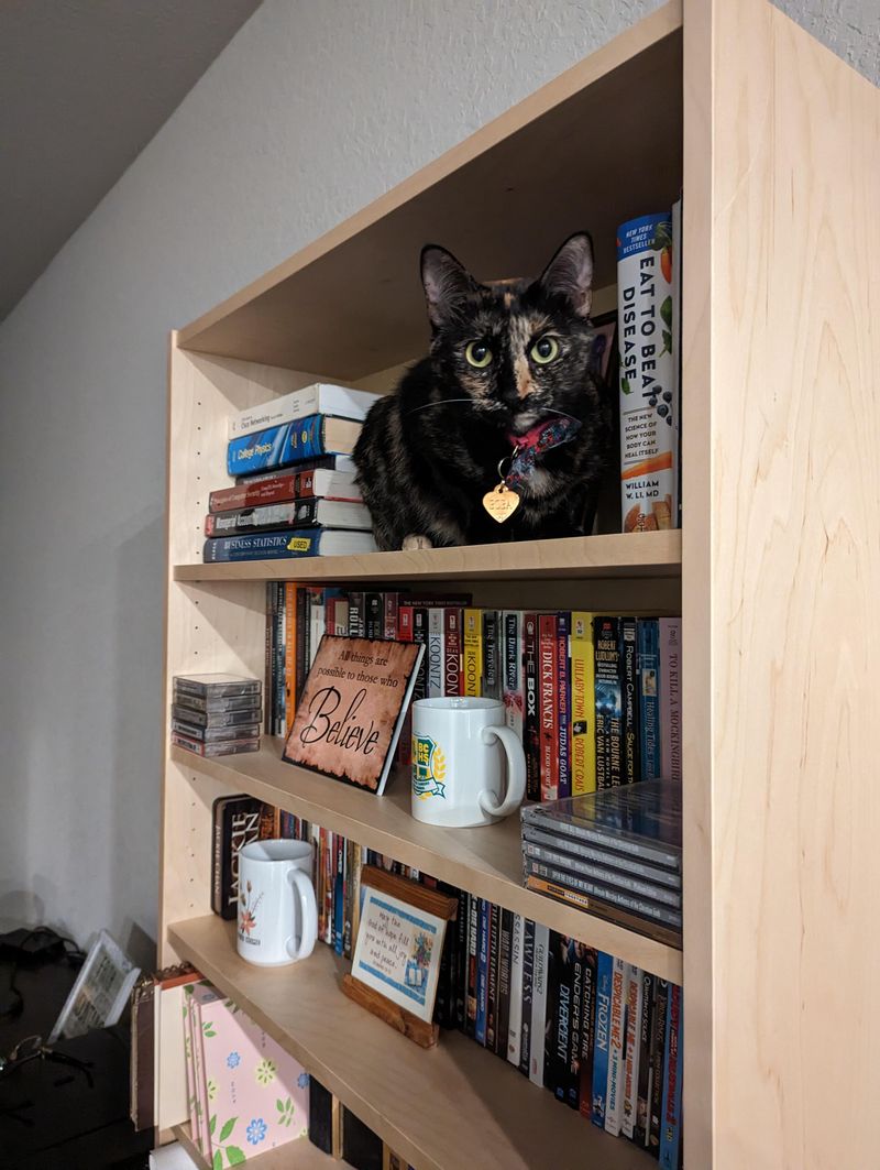 The High Perch King