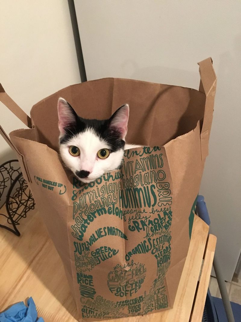 The Impulsive Shopper