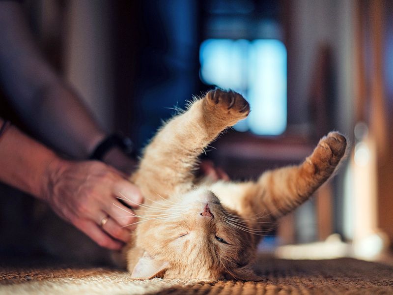 The Invitation to Play
