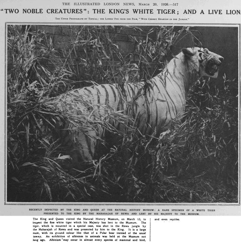 The Last Wild Sighting