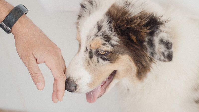 The Playful Nudge