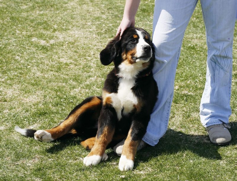 The Relaxed Lean