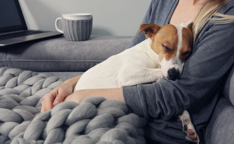 The Silent Snuggle